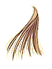   Fable.RO PVP- 2024 -   - Golden Hair |    Ragnarok Online MMORPG   FableRO:  , Afro,   ,   