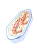   Fable.RO PVP- 2024 -     - Chile Shrimp Gratin |     MMORPG Ragnarok Online  FableRO:  ,  , ,   
