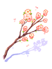   Fable.RO PVP- 2024 -   - Flower Branch |    Ragnarok Online MMORPG   FableRO:   Super Novice, Golden Wing, Baby Blue Cap,   