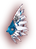   Fable.RO PVP- 2024 -  - Anti-Collider Wings |     MMORPG Ragnarok Online  FableRO:   Dancer, ,  ,   