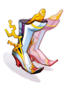   Fable.RO PVP- 2024 -   - Variant Shoes |    Ragnarok Online MMORPG   FableRO:  , Lovely Heat, ,   