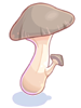   Fable.RO PVP- 2024 -   - Edible Mushroom |    Ragnarok Online  MMORPG  FableRO:  , , White Valkyries Helm,   
