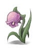   Fable.RO PVP- 2024 -   - Singing Flower |    MMORPG  Ragnarok Online  FableRO:  ,  ,   Baby Acolyte,   