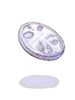   Fable.RO PVP- 2024 -   - Platinum Coin |    Ragnarok Online MMORPG   FableRO:   , Spring Coat, Deviling Hat,   