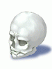   Fable.RO PVP- 2024 -   - Skull |    MMORPG Ragnarok Online   FableRO: Lucky Potion, Fox Tail,   Acolyte High,   