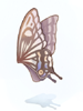   Fable.RO PVP- 2024 -   - Giant Butterfly Wing |    Ragnarok Online MMORPG   FableRO: ,  , Autoevent Mobs Attack,   