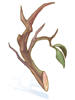  Fable.RO PVP- 2024 -   - Strong Branch |    MMORPG  Ragnarok Online  FableRO: , Zelda Link Hat,   Baby Novice,   
