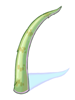   Fable.RO PVP- 2024 -   - Pointed Scale |    Ragnarok Online MMORPG   FableRO: Wings of Reduction, Kawaii Kitty Tail,     PVM-,   